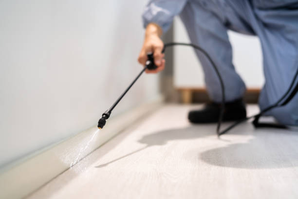 Licensed Termite Control service in Lusby, MD - Nex Pest Control