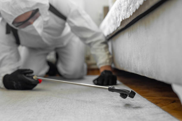 Professional Termite Control technician working in Lusby, MD