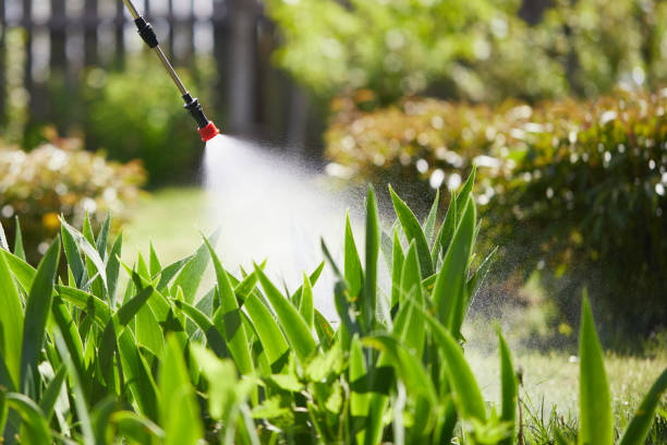 24/7 Emergency Termite Control experts in Lusby, MD