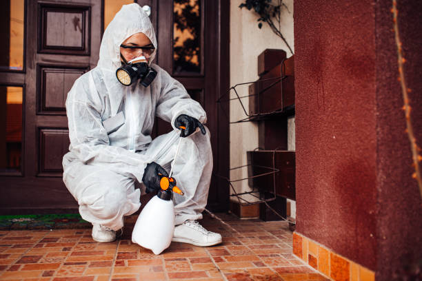 Reliable Termite Control contractor in Lusby, MD by Nex Pest Control