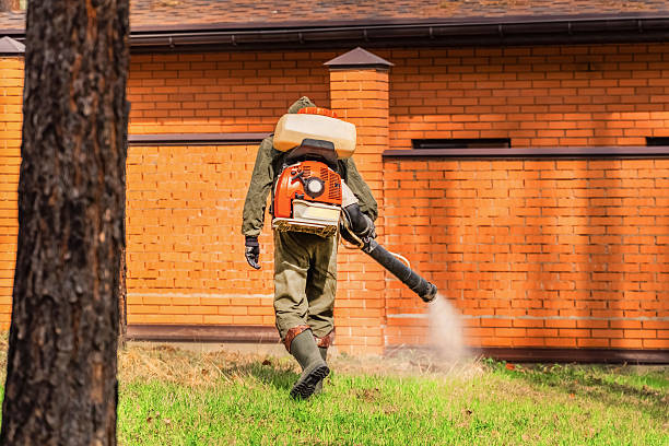 Top rated local Termite Control specialists in Lusby, MD
